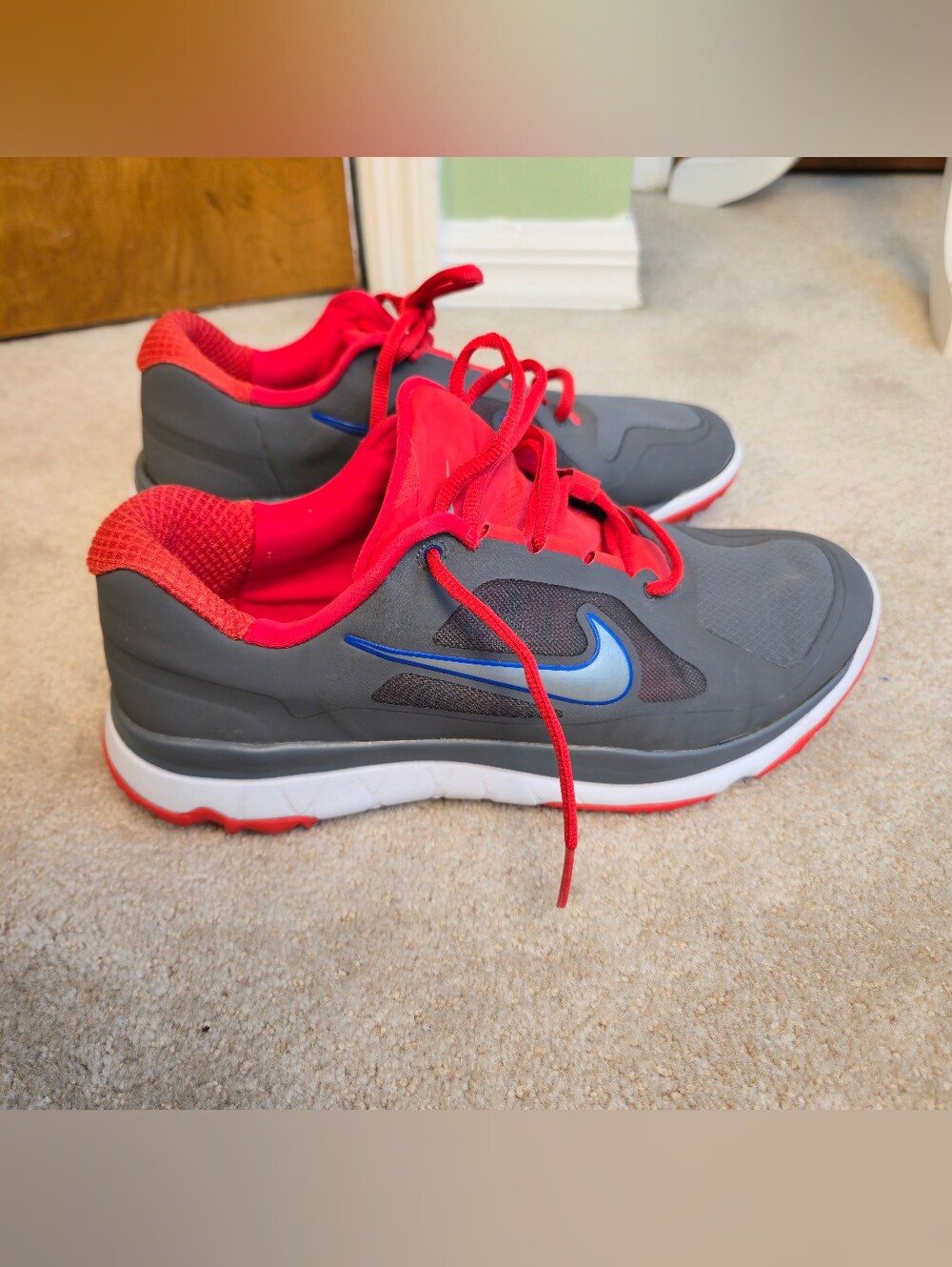 Nike FI Impact golf shoes